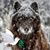 Fred Leuchten's profile image