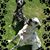 Janette Ansolabehere's profile image