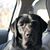Tricia Fecteau Adamonis's profile image