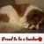 Lori Brown's profile image