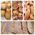 Xelapan bakery's profile image