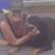 Janal Lower's profile image