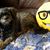Bonita Platta's profile image