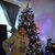 Marlene Galeano's profile image