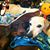 Miranda James's profile image
