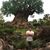 Carlos Andres's profile image