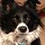 Karen Gray's profile image