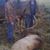 Kevin Cress's profile image