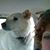 Cindy Johnson's profile image