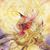 Michael Rigg's profile image
