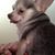 Heather Kriner Welch's profile image