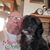 Mark Robinette's profile image