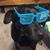 Vincent DeAngelis's profile image