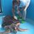 Bronwen de Villiers's profile image