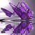 Laurie Checker Stowe's profile image