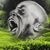 Richard Allen Dows's profile image