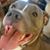 Debby Bright McGinn's profile image
