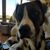 Dave Lathey's profile image