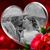 Stephanie Brackney's profile image