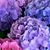 Kathleen Miller Gallucci's profile image