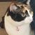 Marilyn Putney's profile image