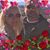 Donna Whyte's profile image