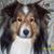 Gerry Powell's profile image