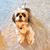 John Wyrick's profile image