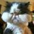 Casandra Hammond's profile image