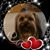 Tammy Honey's profile image