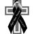 Nancy Ocampo's profile image