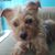 Chulita Recinos's profile image