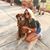 Maggie Runstedler's profile image