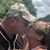 Kim Shepherd's profile image