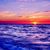 Diane Leshinsky's profile image