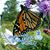 Peggy Sue Leggett's profile image