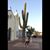 Patzy Villagrana's profile image