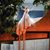 Raquel Chacon's profile image