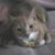 Sharon Eunice McGee's profile image