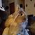 Karen Bradow's profile image