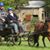 Caroline Sturgess's profile image