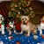 Donna Hefele Gorgone's profile image