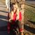 Katie Wornick's profile image