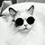 Brianna Trattles Kuha's profile image