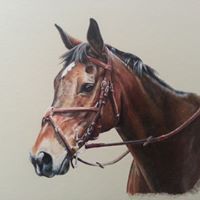 Kirsten Jane Dunbar's profile image