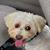 Fonda Luffman Baldwin's profile image