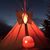 Shan Redhouse Baldwin's profile image