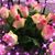 Kathy Martin Dierfield's profile image