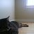 Patti Turkbas's profile image