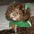 Eileen Yeremsky's profile image